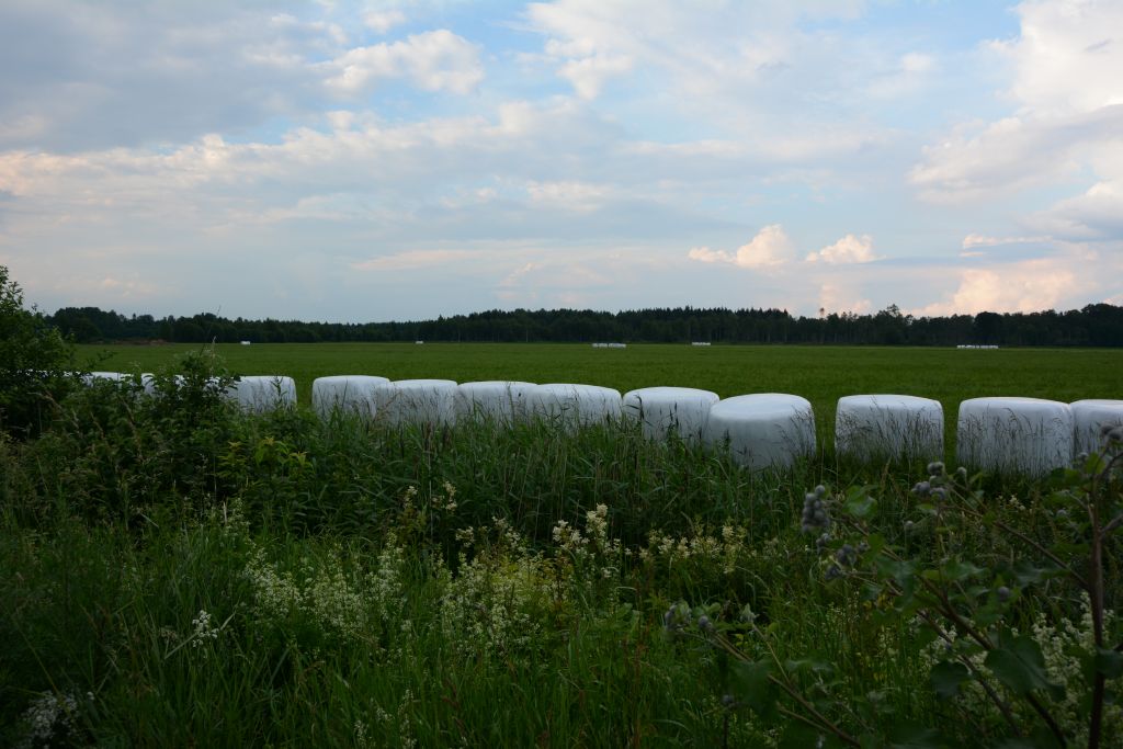 Land in Estonia, AGRICULTURAL LAND NEAR TALLINN NEW!