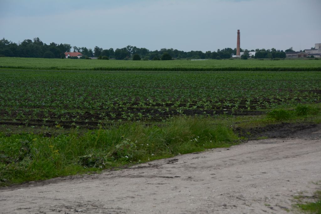 Land in Estonia, AGRICULTURAL LAND NEAR TALLINN NEW!