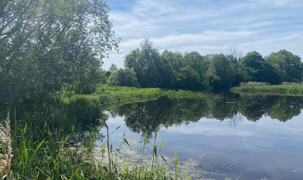 Eine Halbinsel am Ufer des Flusses Pärnu. Bebauung erlaubt!
