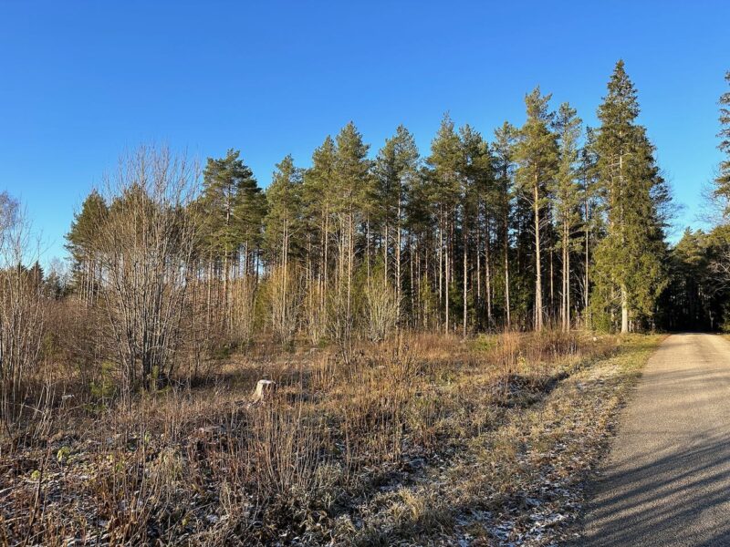 Sympathetic land with building rights in Harju County