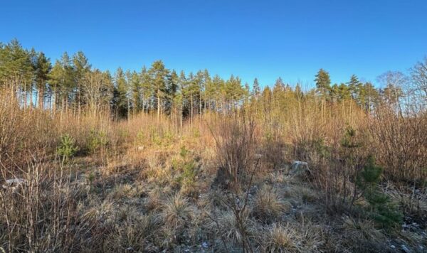 Sympathetic land with building rights in Harju County - Image 8