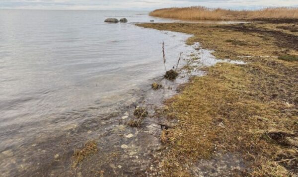 Schönes Grundstück am Meer