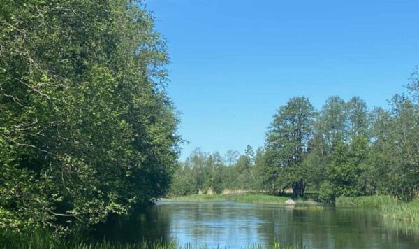 Poolsaar – kinnistu Pärnu jõe ääres. Ehitamine lubatud! - Image 2