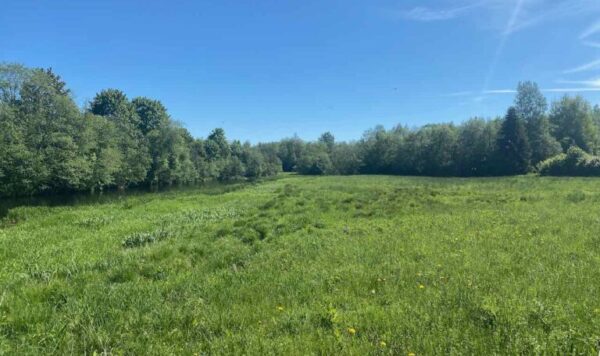 Eine Halbinsel am Ufer des Flusses Pärnu. Bebauung erlaubt! Bebauung erlaubt! – Bild 4