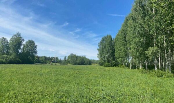 Peninsula by the river Pärnu. Construction is permitted! Ehitamine lubatud!