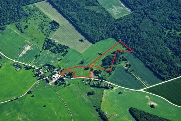 Property in Mustvee parish