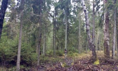 privaatne kinnistu Harjumaal